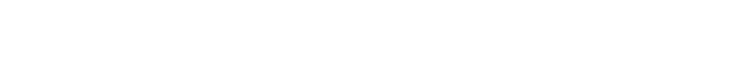 Fortinet logo 1 (2)