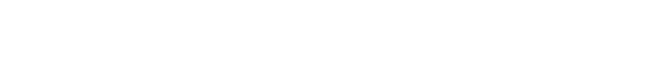 Hikvision_logo 1 (1)